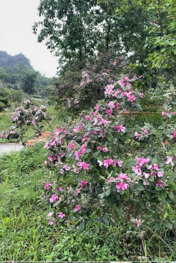 Riverside Homestay Cao Bang Eksteriør bilde